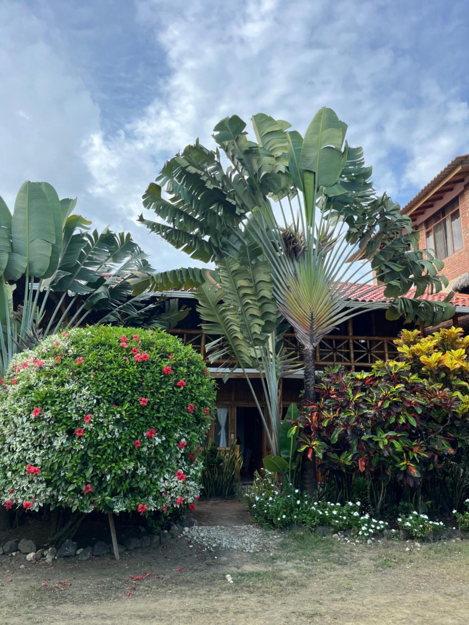 Victor Hugo Hotel Puerto Lopez Exterior photo